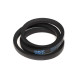 Ремінь B 1250 (ВБ-1250) (PHG B48) (SKF)