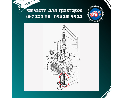 Клапан випускний Д-21, Д-144 А.05.09.003