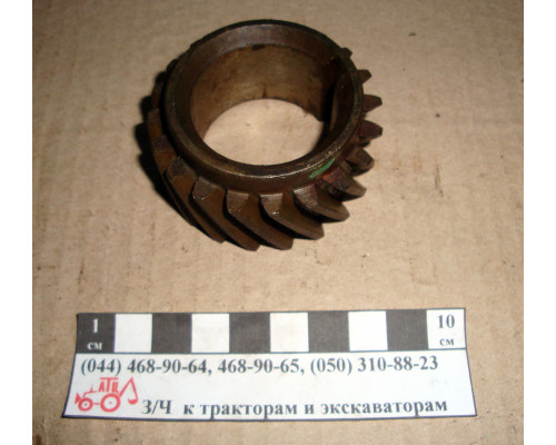 Шестірня МТЗ колінвала 5030 (м) 240-1005030