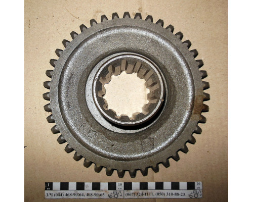 Шестірня МТЗ КПП 1214 Z=43 (3пер.) 50-1701214