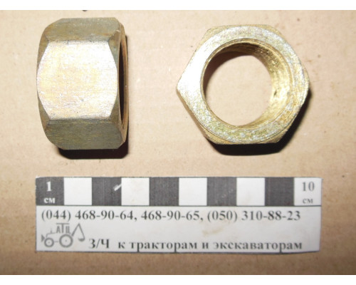 Гайка цапфи верхня МТЗ 50-3001087
