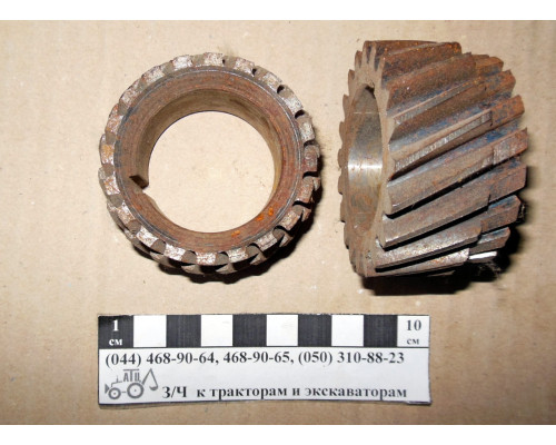 Шестірня Т-40 колінвала Д30-1006285
