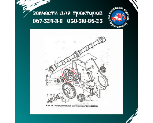Шестірня Т-40, Т-25, Т-16 Розподіл 6214 Д30-1006214А2