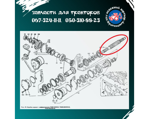 Вал первинний Т-40 Т25-1701032