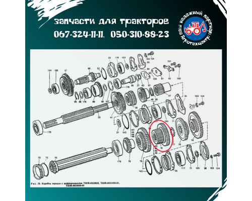 Шестірня Т-40 КПП 1316 Z = 17; Z=37 Т25-1701316