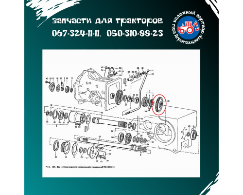 Шестірня Т-40 ВОМ 5043 Z-40 Т50-4205043