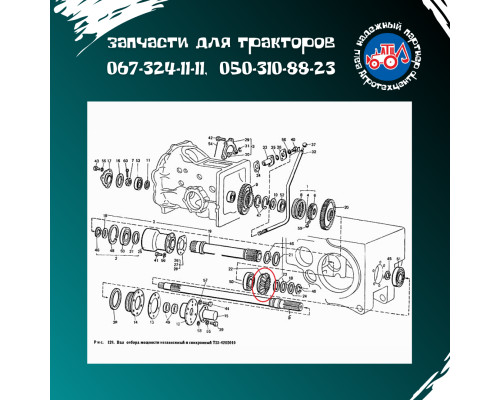 Шестірня Т-40 ВОМ 5046 Т25-4205046