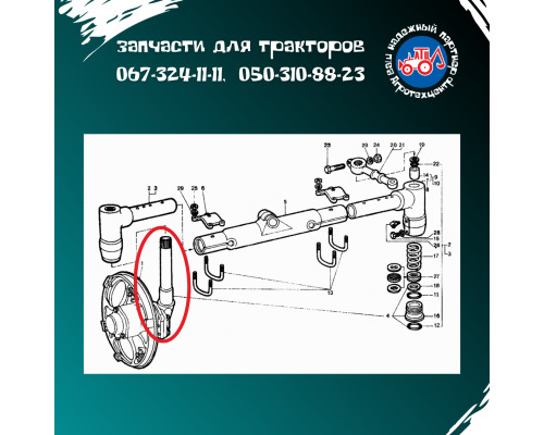Вал цапфи Т-40 (вертикальний) Т50-3001184