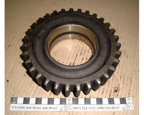 Шестірня ЮМЗ КПП 1146 Z = 31 40-1701146