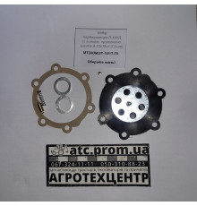 Ремкомплект карбюратора ПД-10